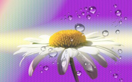 Refreshment - Hariette HarietteH - auf - Array - Refreshment - Hariette HarietteH - auf - Array -