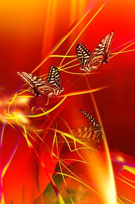 Fire Dance - Hariette HarietteH - auf - Array - Fire Dance - Hariette HarietteH - auf - Array -