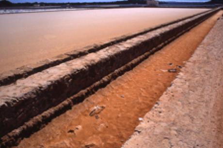 Salinas - Udo Klein - auf - Array - Salinas - Udo Klein - auf - Array -