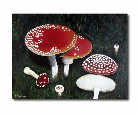 Pilze - Jörg S. - Array auf Array - Array - Pilze - Jörg S. - Array auf Array - Array -