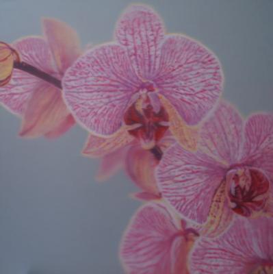 Orchidee - Liana Kaasik - Array auf Array - Array - Orchidee - Liana Kaasik - Array auf Array - Array -