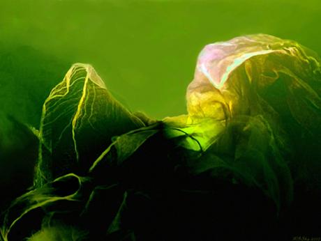 La Fée Verte, - Michael Michael B. Sky - Array auf Array - Array - Array La Fée Verte, - Michael Michael B. Sky - Array auf Array - Array - Array