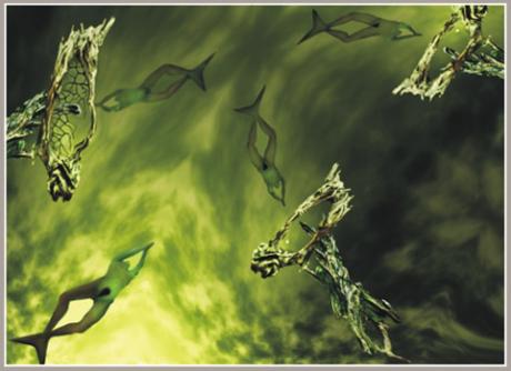 Bild 4-13 -H.-D.Grossmann- - Dieter Grossmann - auf - Array - Bild 4-13 -H.-D.Grossmann- - Dieter Grossmann - auf - Array -