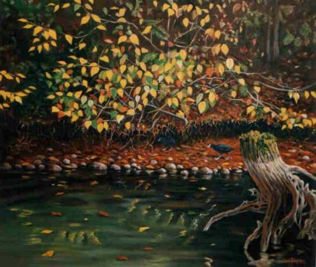 Bläßhühner - Wolfgang Rose - auf Array - Array - Bläßhühner - Wolfgang Rose - auf Array - Array -