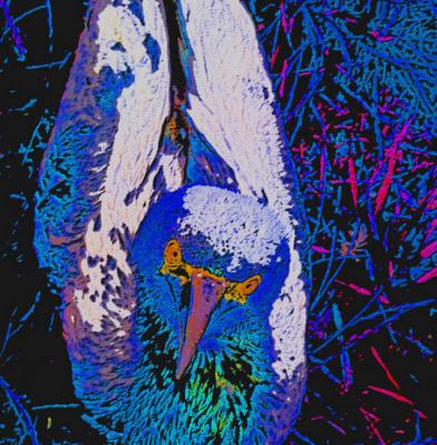 Brutgeschäft - Timm-H. Wemper - auf - Array - Brutgeschäft - Timm-H. Wemper - auf - Array -