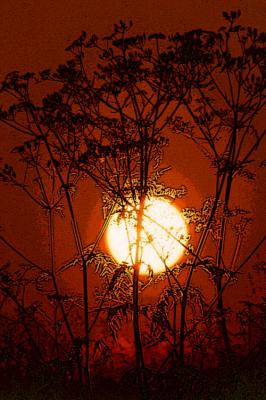 Es wird Abend - Timm-H. Wemper - auf - Array - Es wird Abend - Timm-H. Wemper - auf - Array -