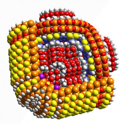 All senses 2003 - Hendrik Arie Baartman -  Baartman -  auf  - Array - 