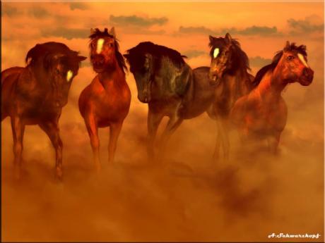 Stampede (2003) Astrid Schwarzkopf - Astrid Schwarzkopf - auf - Array - Stampede (2003) Astrid Schwarzkopf - Astrid Schwarzkopf - auf - Array -