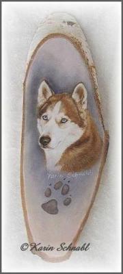 Husky CRAZY - Karin Schnabl - Array auf - Array - Husky CRAZY - Karin Schnabl - Array auf - Array -