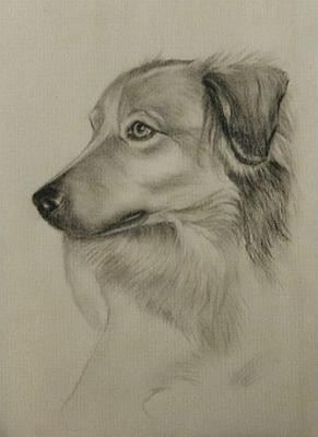 Ronny - Karin Schnabl - Karin Schnabl - Array auf - Array - Ronny - Karin Schnabl - Karin Schnabl - Array auf - Array -