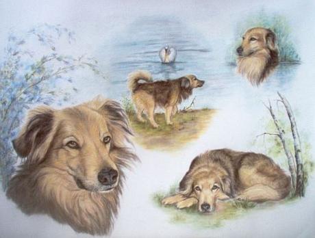 In Memory of my Ronny - Karin Schnabl - Array auf - Array - In Memory of my Ronny - Karin Schnabl - Array auf - Array -