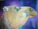 camel - Helga Fahmi-Hansmann - Acryl auf Leinwand - Kamele - Gegenständlich camel - Helga Fahmi-Hansmann - Acryl auf Leinwand - Kamele - Gegenständlich