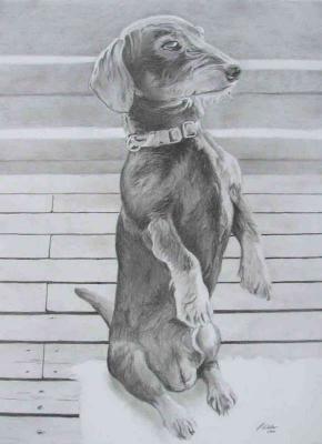 Henry - up ! (2004) Stefan Weber - Stefan Weber - Array auf - Array - Henry - up ! (2004) Stefan Weber - Stefan Weber - Array auf - Array -