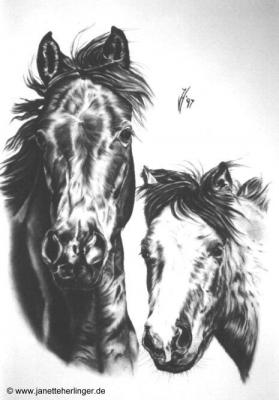 Zwei Freunde (1997) Janette Herlinger - Janette Herlinger - Array auf - Array - Zwei Freunde (1997) Janette Herlinger - Janette Herlinger - Array auf - Array -