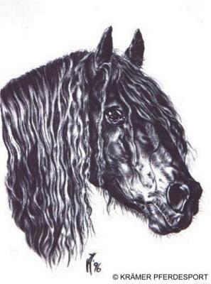 Friesenhengst Marc (1996) Janette Herlinger - Janette Herlinger - Array auf Array - Array - Friesenhengst Marc (1996) Janette Herlinger - Janette Herlinger - Array auf Array - Array -