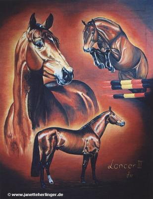 Westfalenhengst Lancer III (1997) Janette Herlinge - Janette Herlinger - auf Array - Array - Westfalenhengst Lancer III (1997) Janette Herlinge - Janette Herlinger - auf Array - Array -