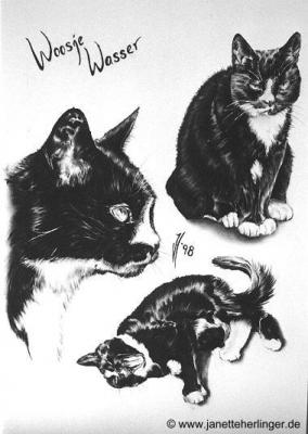 Hauskatze Woosje Wasser (1998) Janette Herlinger - Janette Herlinger - Array auf - Array - Hauskatze Woosje Wasser (1998) Janette Herlinger - Janette Herlinger - Array auf - Array -