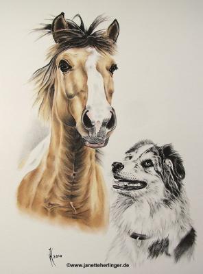 Ben und Sunny - Janette Herlinger - Array auf - Array - Ben und Sunny - Janette Herlinger - Array auf - Array -