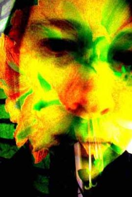 Selbst 2 ( Serie Symbiomorphosen, 2003) Kim Kras - Kim Kraska - auf - Array - Selbst 2 ( Serie Symbiomorphosen, 2003) Kim Kras - Kim Kraska - auf - Array -