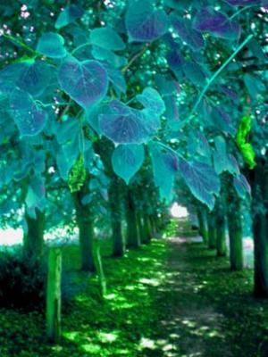 Weg (2003) Kim  Kraska -  Kim Kraska -  auf  - Array - 