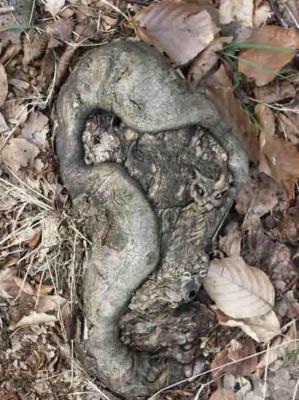 46. Tier reich - Burre Carmen - auf - Array - 46. Tier reich - Burre Carmen - auf - Array -