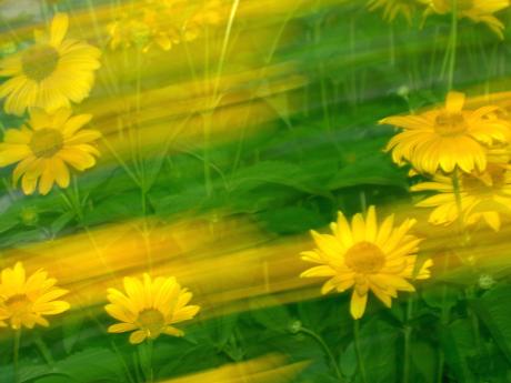 Sonnenwind - Walter J. Pilsak - Array auf - Array - Sonnenwind - Walter J. Pilsak - Array auf - Array -