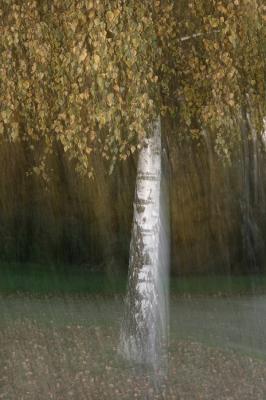 Herbstmelancholie - Walter J. Pilsak - auf - Array - Herbstmelancholie - Walter J. Pilsak - auf - Array -