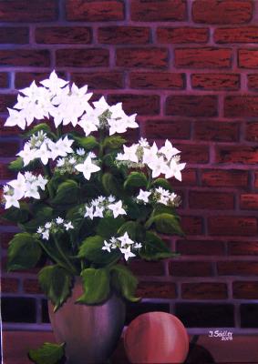 Hortensien - Jana Seidler - Array auf Array - Array - Hortensien - Jana Seidler - Array auf Array - Array -