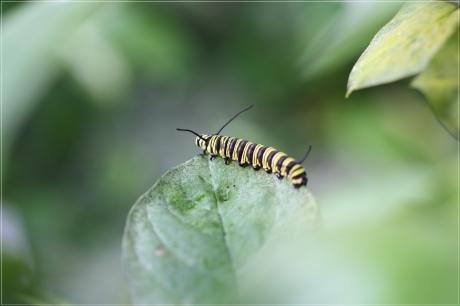 Sie träumt vom Fliegen... - Ulrike Kirschner - Array auf - Array - Sie träumt vom Fliegen... - Ulrike Kirschner - Array auf - Array -