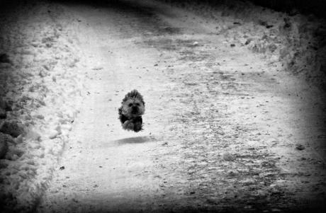 Neues Kunstwerk - Agnieszka Prusak - auf - - Neues Kunstwerk - Agnieszka Prusak - auf - -