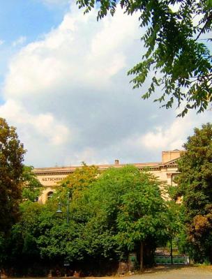 Nat. Akademie d. Wissenschaften vor Restaurierung - Wolfgang Bergter - Array auf Array - Array - Nat. Akademie d. Wissenschaften vor Restaurierung - Wolfgang Bergter - Array auf Array - Array -