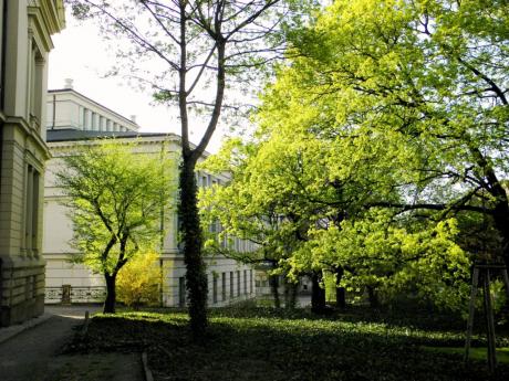 Frühling am Universitätsring in Halle / Saale (2) - Wolfgang Bergter - Array auf Array - Array - Frühling am Universitätsring in Halle / Saale (2) - Wolfgang Bergter - Array auf Array - Array -