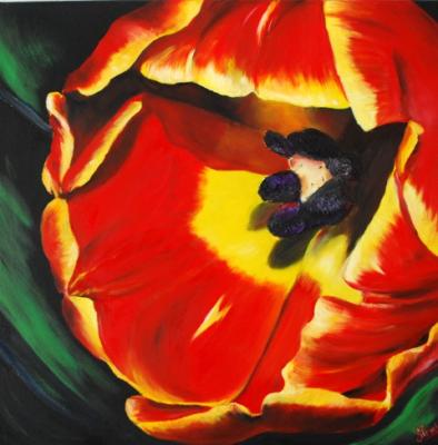 Tulpenblüte - Maria Prachnau - Array auf Array - Array - Array