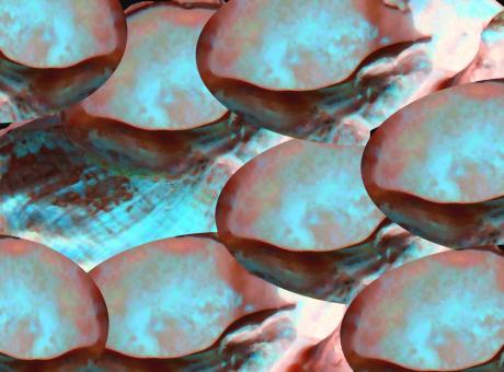 Stony - Peter Norden - Array auf - Array - Stony - Peter Norden - Array auf - Array -