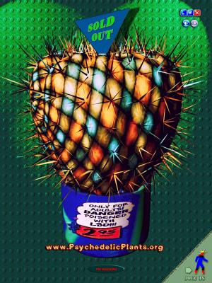 Kaktus B - Julius B. Vahedi - Array auf - Array - Kaktus B - Julius B. Vahedi - Array auf - Array -