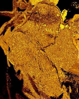 betender mönch - hansgeorg götz - Array auf - Array - betender mönch - hansgeorg götz - Array auf - Array -