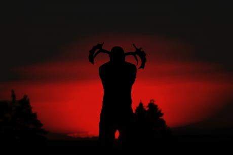 Rotwild - Sebastian Foit - Array auf - Array - Rotwild - Sebastian Foit - Array auf - Array -