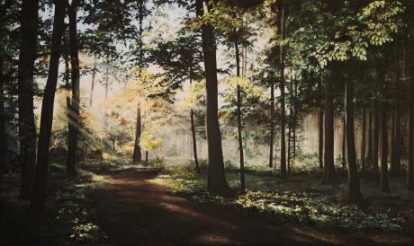 Waldidylle - Sabine Mentzel - Array auf Array - Array - Array Waldidylle - Sabine Mentzel - Array auf Array - Array - Array