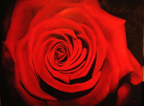 Rote Rose! - Sabine Mentzel - Array auf Array - Array - Array Rote Rose! - Sabine Mentzel - Array auf Array - Array - Array