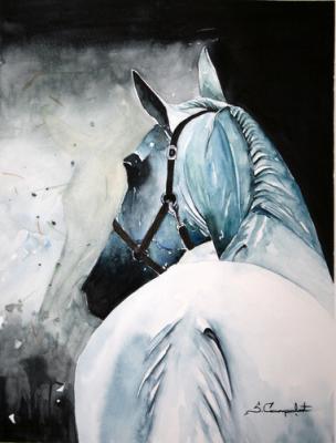 Blau Pferde - Sadettin Canpolat - Array auf - Array - Array Blau Pferde - Sadettin Canpolat - Array auf - Array - Array