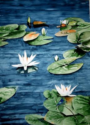 Libelle auf der Wasserlilie - Sadettin Canpolat - Array auf Array - Array - Array Libelle auf der Wasserlilie - Sadettin Canpolat - Array auf Array - Array - Array