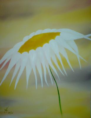 ---Blume - Mario Kirchner - Array auf Array - Array - Array ---Blume - Mario Kirchner - Array auf Array - Array - Array