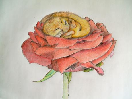 Siebenschläfer - Karina Birke - Array auf Array - Array - Siebenschläfer - Karina Birke - Array auf Array - Array -