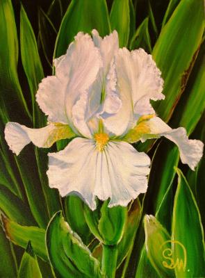 Iris Avanelle - Simone Wilhelms - Array auf Array - Array - Array Iris Avanelle - Simone Wilhelms - Array auf Array - Array - Array