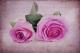 Ode an die Rose - Annett Tropschug - - auf - Rosen-Stillleben-Harmonie-Liebe - Ode an die Rose - Annett Tropschug - - auf - Rosen-Stillleben-Harmonie-Liebe -