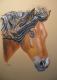 Pferdeportrait in Pastell - Gaby Lukas - Pastell auf Papier - Pferde - Pferdeportrait in Pastell - Gaby Lukas - Pastell auf Papier - Pferde -
