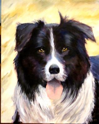 Alonso - peter paint - Array auf Array - Array - Array Alonso - peter paint - Array auf Array - Array - Array