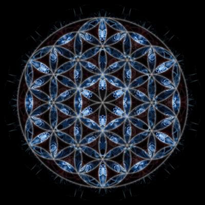 Lebensblume 2011081901 - Niels Vaillant - Array auf - Array - Lebensblume 2011081901 - Niels Vaillant - Array auf - Array -