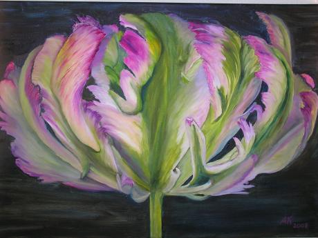 Papageientulpe - Anke Knoth - Array auf - Array - Array Papageientulpe - Anke Knoth - Array auf - Array - Array