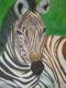 Zebra - Anke Knoth - Ãl auf Leinwand - Wildtiere - GegenstÃ¤ndlich